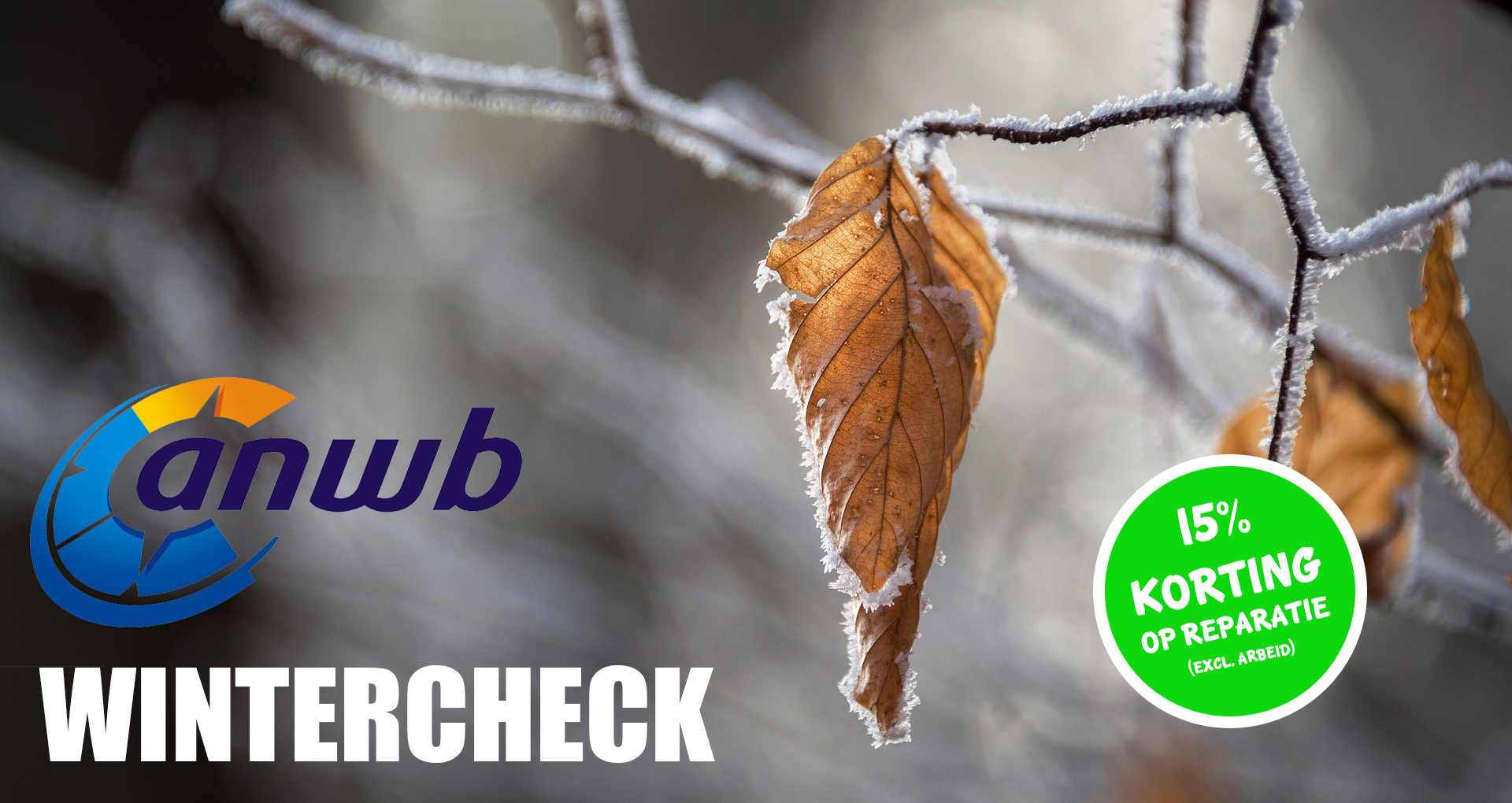 ANWB Wintercheck - E-Bike Gelderland