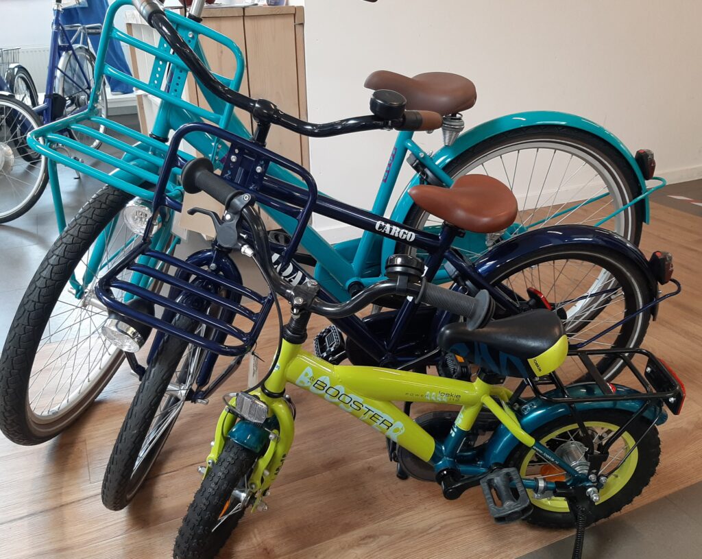 Cargo - E-Bike Gelderland