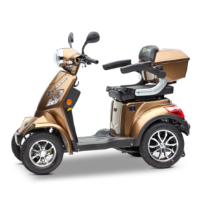 E J1000 - E-Bike Gelderland
