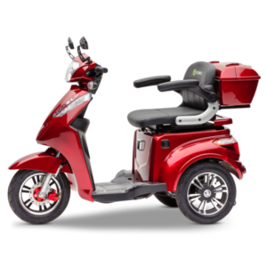 E S1000 - E-Bike Gelderland