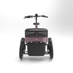 Van Raam Thuja - Afbeelding 4