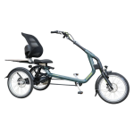 Van Raam Easy Rider driewielfiets