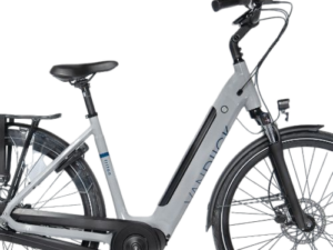 van dijck triton kreutzer core 700 in de kleur grijs close up van het zijaanzicht van de fiets ebike gelderland