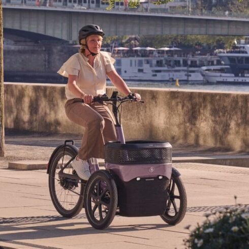 van raam thuja in de kleur taupe sfeerbeeld van de fiets buiten in de natuur ebike gelderland