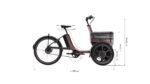 van raam thuja zijaanzicht van een technische tekening afmetingen in centimeter ebike gelderland