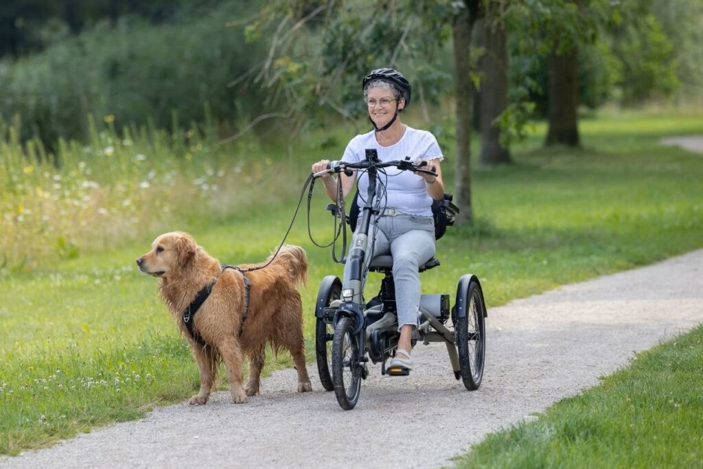 vanraam easy rider met mevrouw die de hond uitlaat in een park sfeerbeeld ebike gelderland