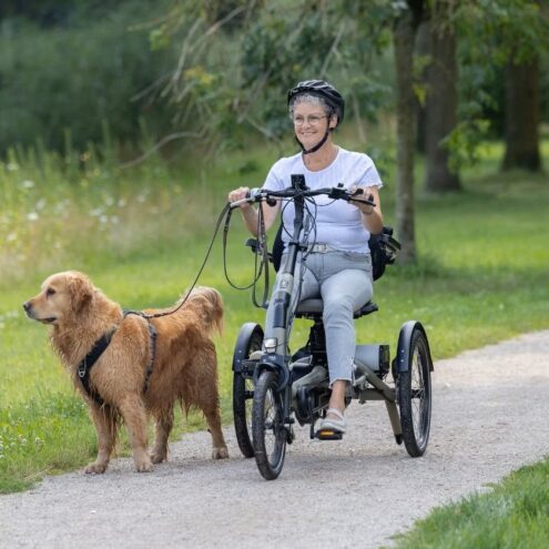 vanraam easy rider met mevrouw die de hond uitlaat in een park sfeerbeeld ebike gelderland