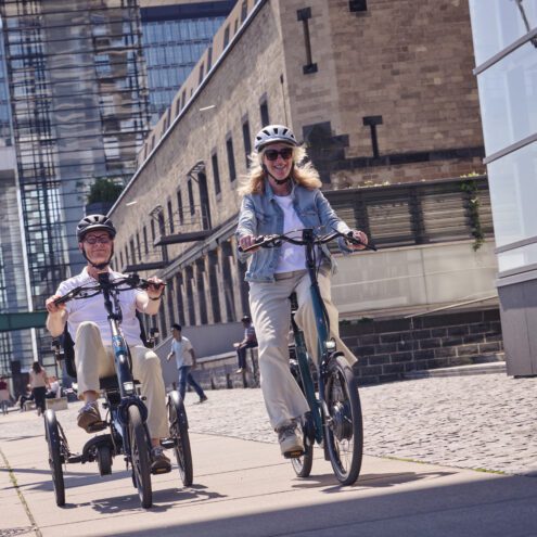 vanraam easy rider fiets en balance low step ebike gelderland