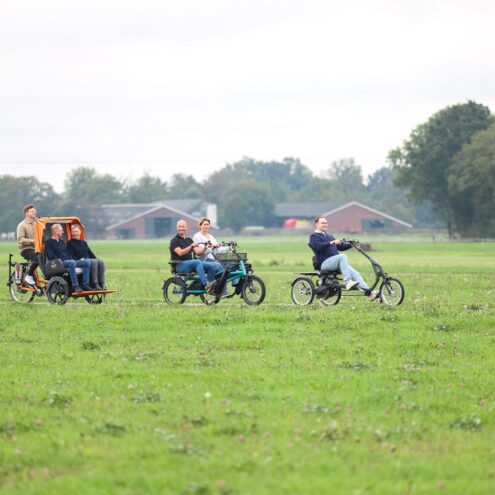 zijaanzicht van de chat met fun2Go en easy rider buiten met het groene gras ebike gelderland