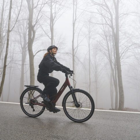 bordeaux rode tenways fiets met mevrouw die buiten in de natuur een ritje maakt door de mist omringd met bomen in de achtergrond sfeerbeeld ebike gelderland