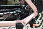 Shimano-remklauw en achterremschijf van de Levit BELECO Sports lowstep Woodrose.