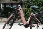 Levit BELECO Sports lowstep Woodrose schuin van voren, met lage instap en middenmotor.