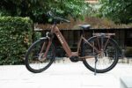 Mocchabruin frame, voorvork en voorwiel met schijfrem van de Levit Beleco Luxury lowstep.