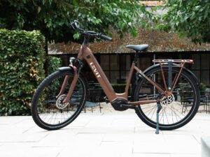 Mocchabruin frame, voorvork en voorwiel met schijfrem van de Levit Beleco Luxury lowstep.