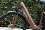 Mocchabruin frame, voorvork en voorwiel met schijfrem van de Levit Beleco Luxury lowstep.