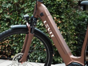 Mocchabruin frame, voorvork en voorwiel met schijfrem van de Levit Beleco Luxury lowstep.